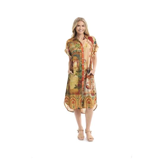 Digital Indian Vibes Collar Shirt Dress