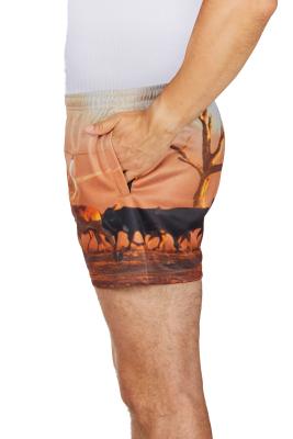 Helicopter Men's Short